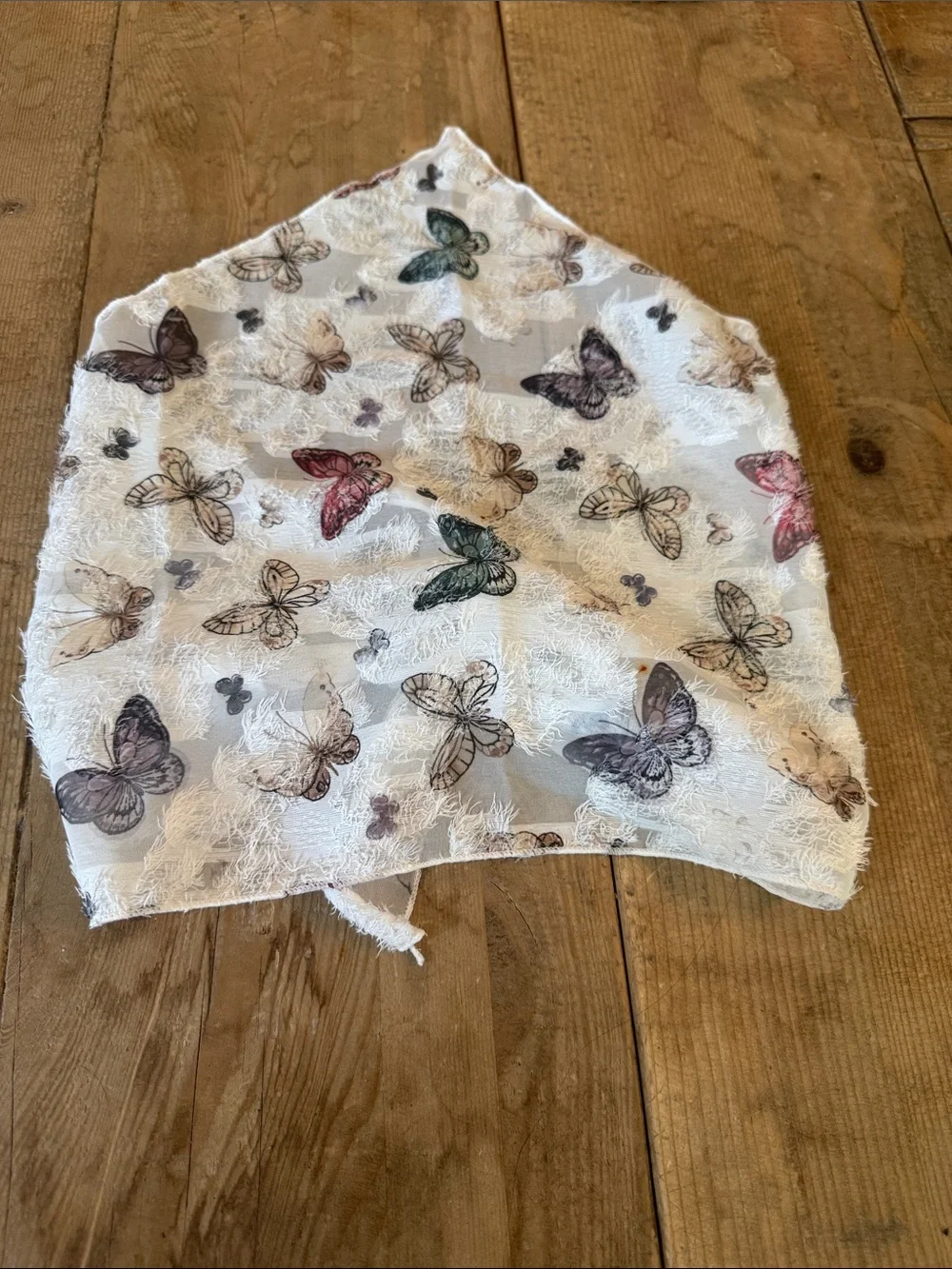 White Butterfly Lace Hair Curtain Drappe - Multicolor Butterflies